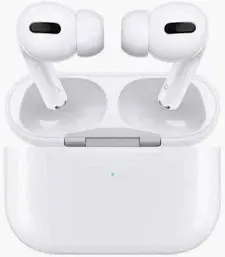 JBL TWS 5S Earbuds