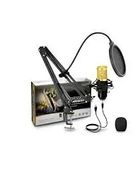 Legendary Vocal Condenser Microphone